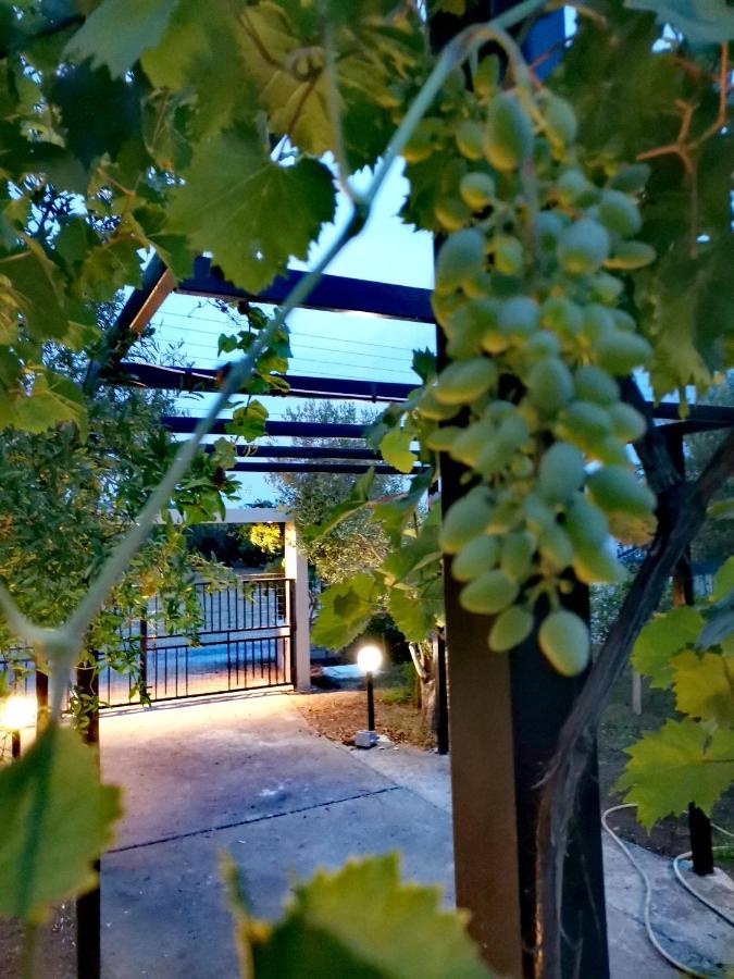 Country House Sozopoli Exterior foto