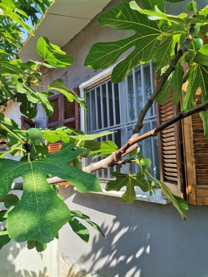 Country House Sozopoli Exterior foto